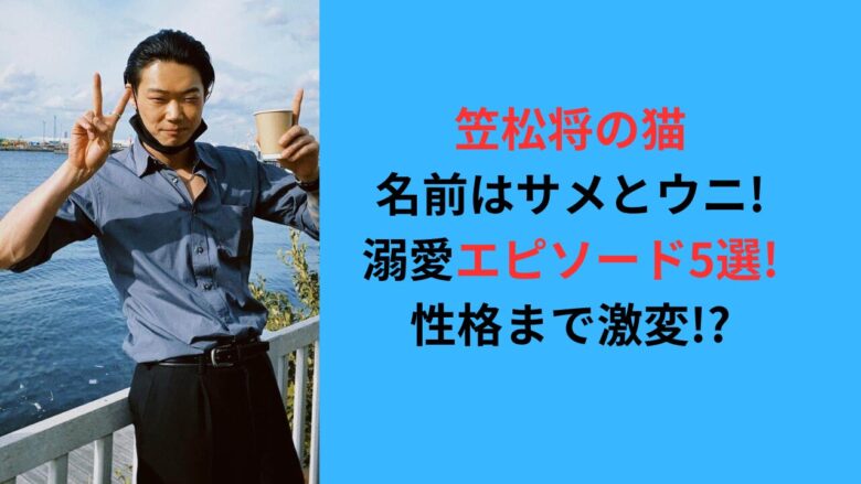 【笠松将の猫】名前はサメとウニ!溺愛エピソード5選!性格まで激変!?